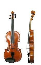 violin